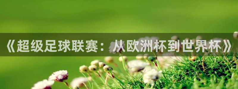 世预赛欧洲赛程表：《超级足球联赛：从欧洲杯到世界杯》