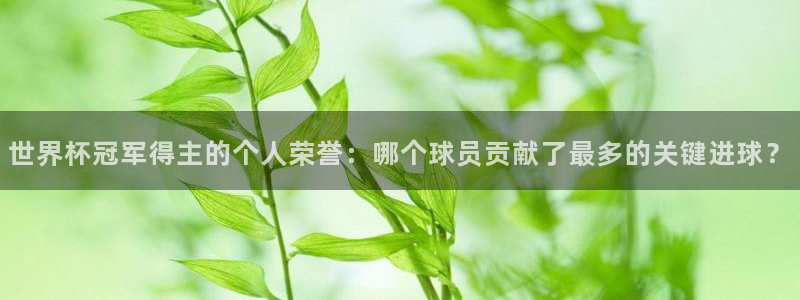 2026世界杯对阵图:世界杯冠军得主的个人荣誉:哪个球员贡献了最多的关键进球?