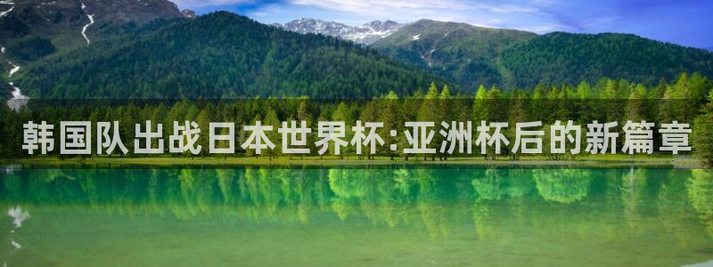 世界杯足球比赛：韩国队出战日本世界杯:亚洲杯后的新篇章