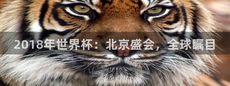 2026男足世界杯赛程：2018年世界杯：北京盛会，全球瞩目
