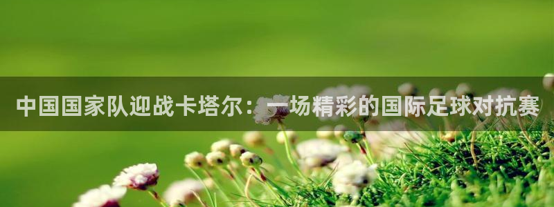 2026男足世界杯：中国国家队迎战卡塔尔：一场精彩的国际足球对抗赛