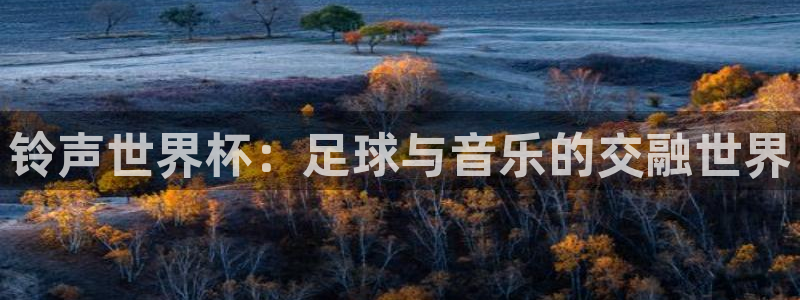 2026世界杯赛程表完整版：铃声世界杯：足球与音乐的交融世界