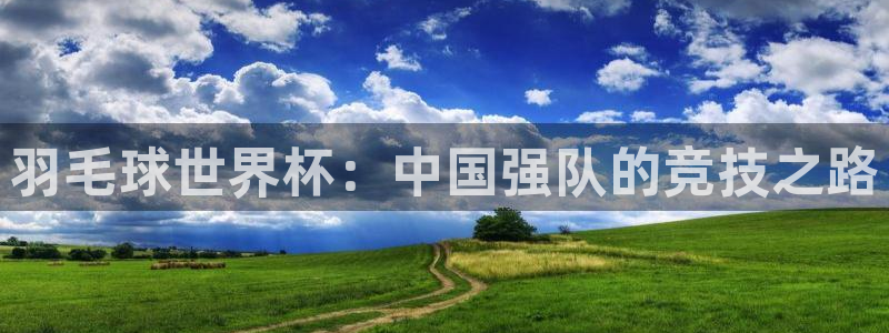 世界杯预选赛规则：羽毛球世界杯：中国强队的竞技之路