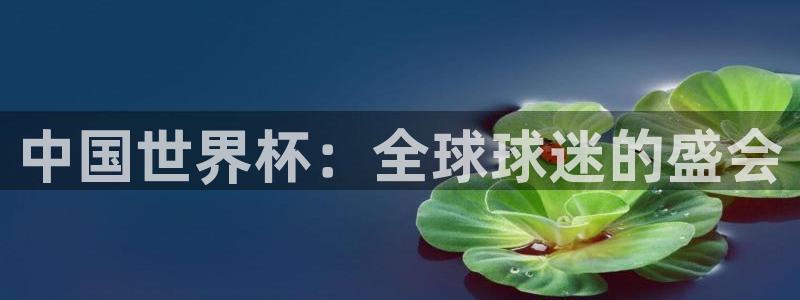 2026世界杯德国队阵容：中国世界杯：全球球迷的盛会