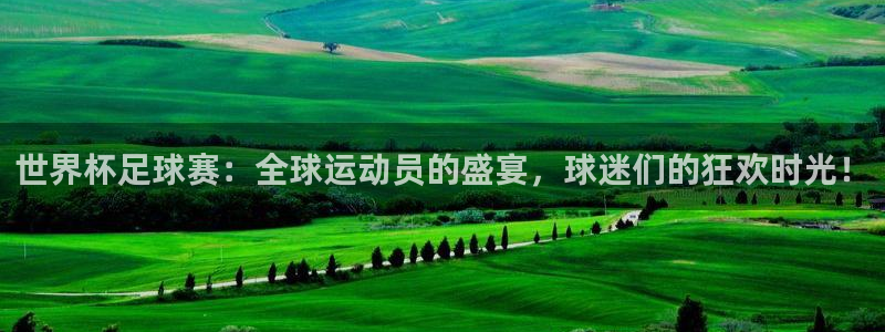 女足世界杯直播：世界杯足球赛：全球运动员的盛宴，球迷们的狂欢时光！
