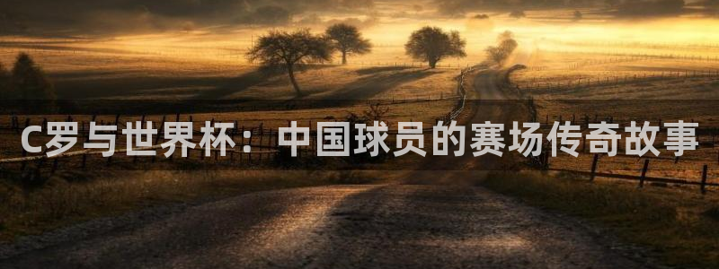 2026足球世界杯赛程时间表：C罗与世界杯：中国球员的赛场传奇故事