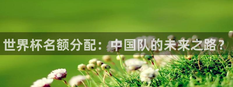 世界杯对阵图2026：世界杯名额分配：中国队的未来之路？